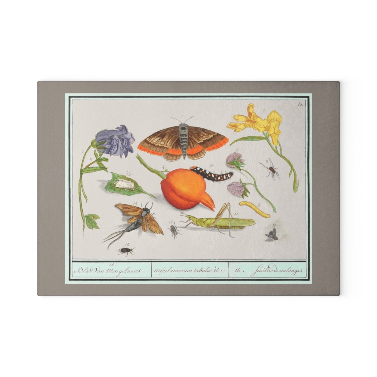 Natural History Ensemble No. 14 | Glass Chopping Board - Glass Chopping Board - Piccolo Fiore Prints