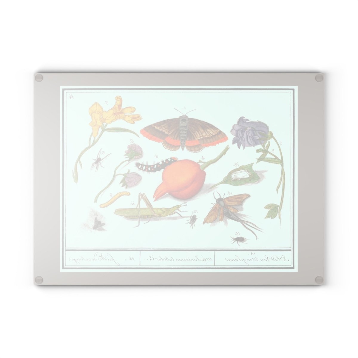 Natural History Ensemble No. 14 | Glass Chopping Board - Glass Chopping Board - Piccolo Fiore Prints