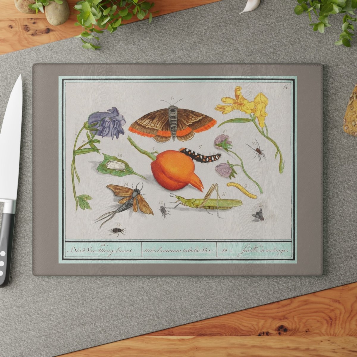 Natural History Ensemble No. 14 | Glass Chopping Board - Glass Chopping Board - Piccolo Fiore Prints