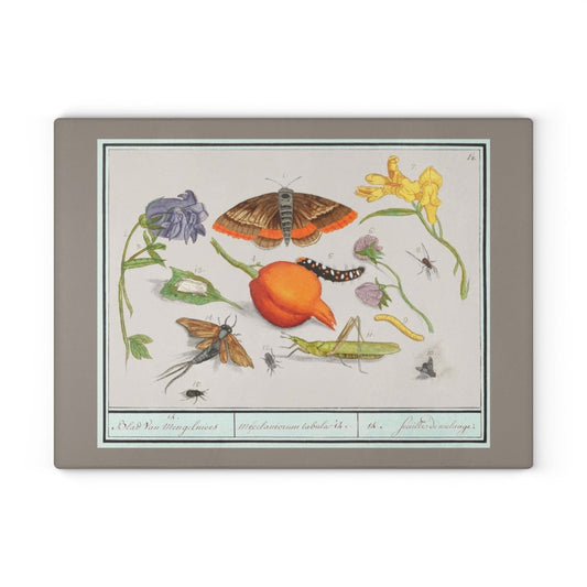 Natural History Ensemble No. 14 | Glass Chopping Board - Glass Chopping Board - Piccolo Fiore Prints