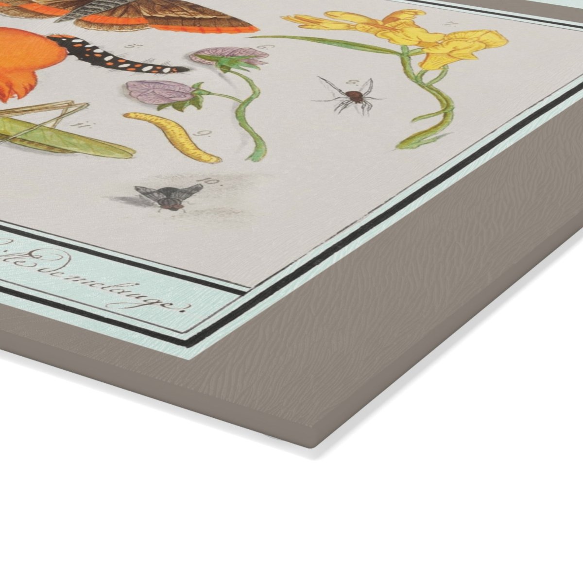 Natural History Ensemble No. 14 | Glass Chopping Board - Glass Chopping Board - Piccolo Fiore Prints