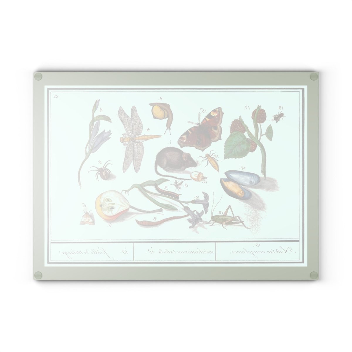 Natural History Ensemble No. 15 | Glass Chopping Board - Glass Chopping Board - Piccolo Fiore Prints