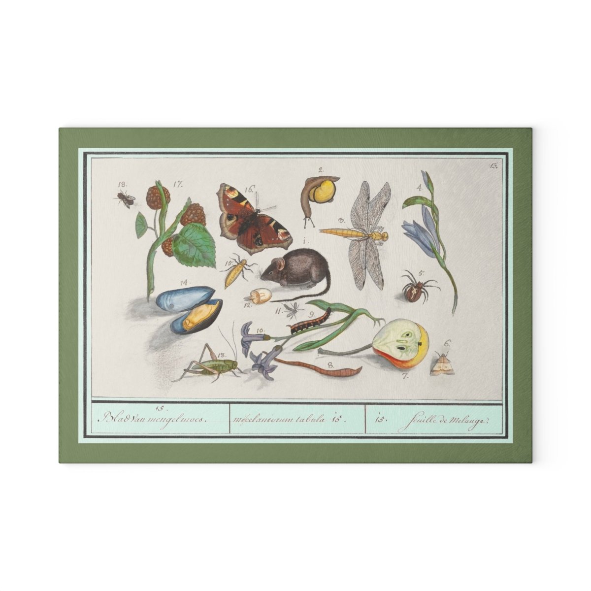 Natural History Ensemble No. 15 | Glass Chopping Board - Glass Chopping Board - Piccolo Fiore Prints
