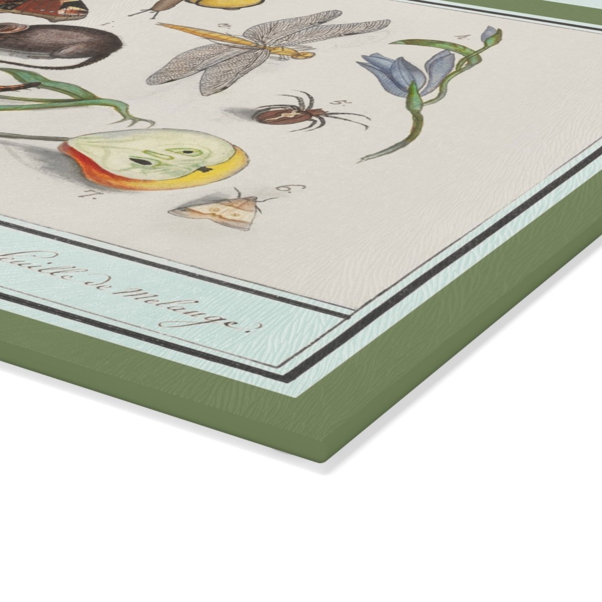 Natural History Ensemble No. 15 | Glass Chopping Board - Glass Chopping Board - Piccolo Fiore Prints