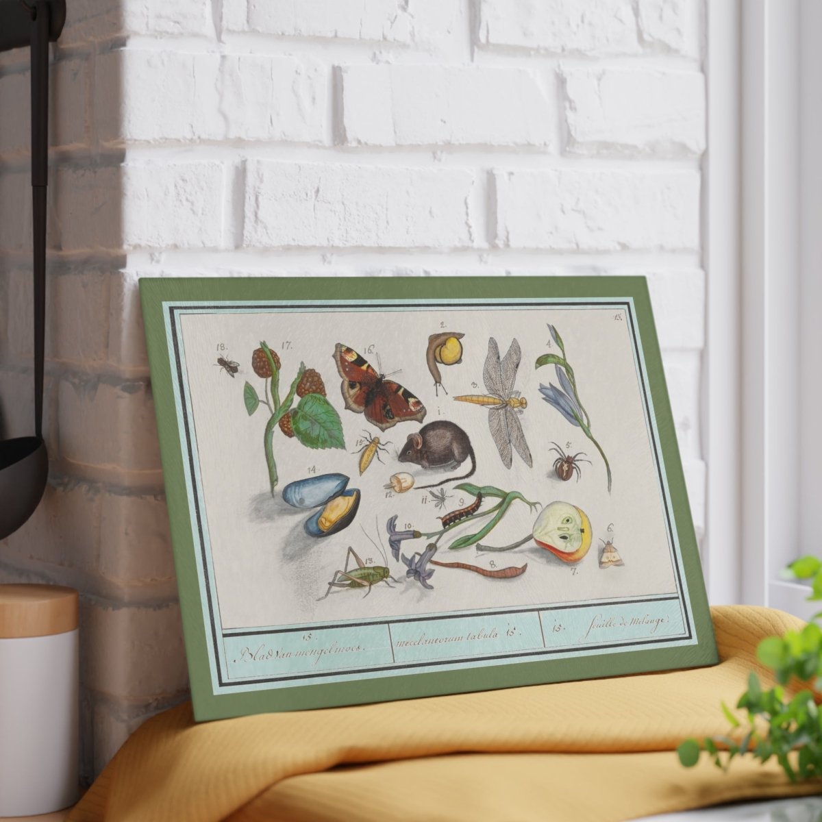 Natural History Ensemble No. 15 | Glass Chopping Board - Glass Chopping Board - Piccolo Fiore Prints