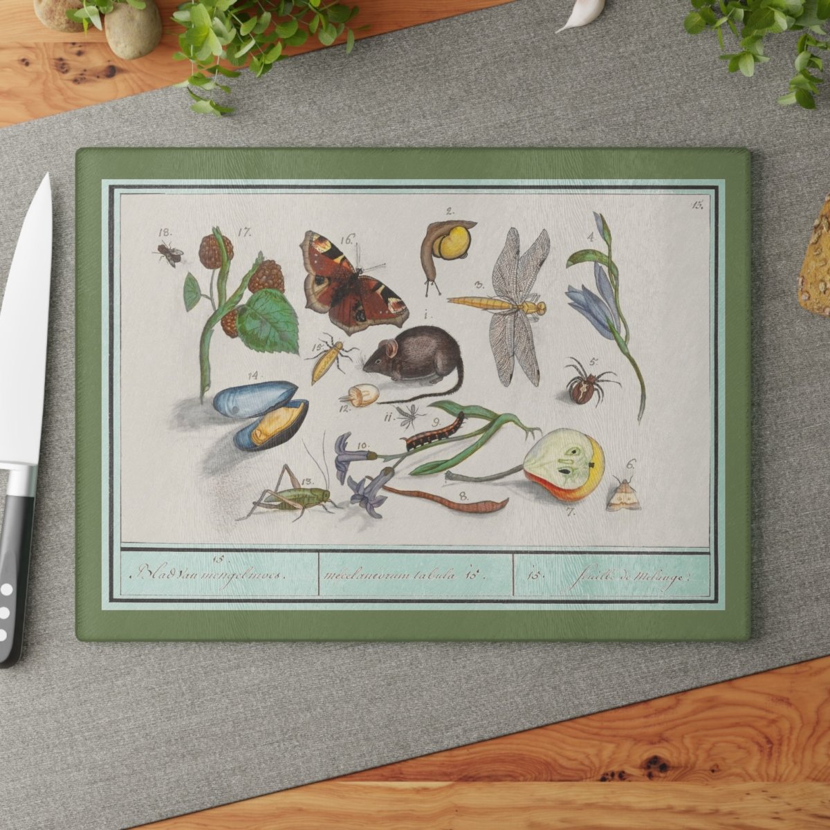 Natural History Ensemble No. 15 | Glass Chopping Board - Glass Chopping Board - Piccolo Fiore Prints