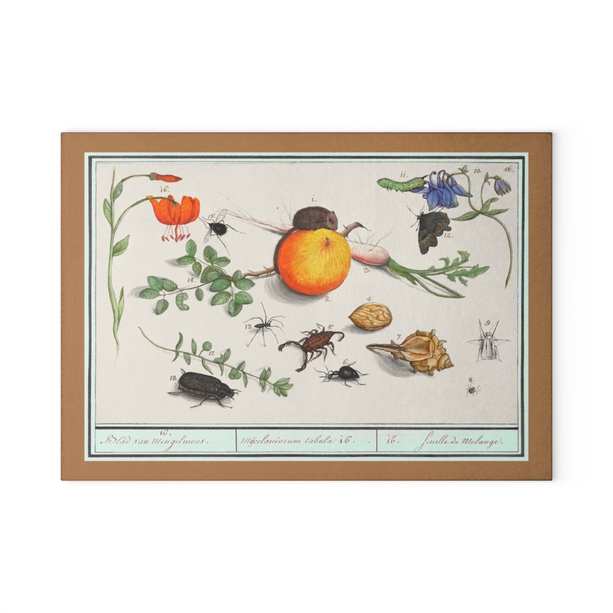Natural History Ensemble No. 16 | Glass Chopping Board - Glass Chopping Board - Piccolo Fiore Prints