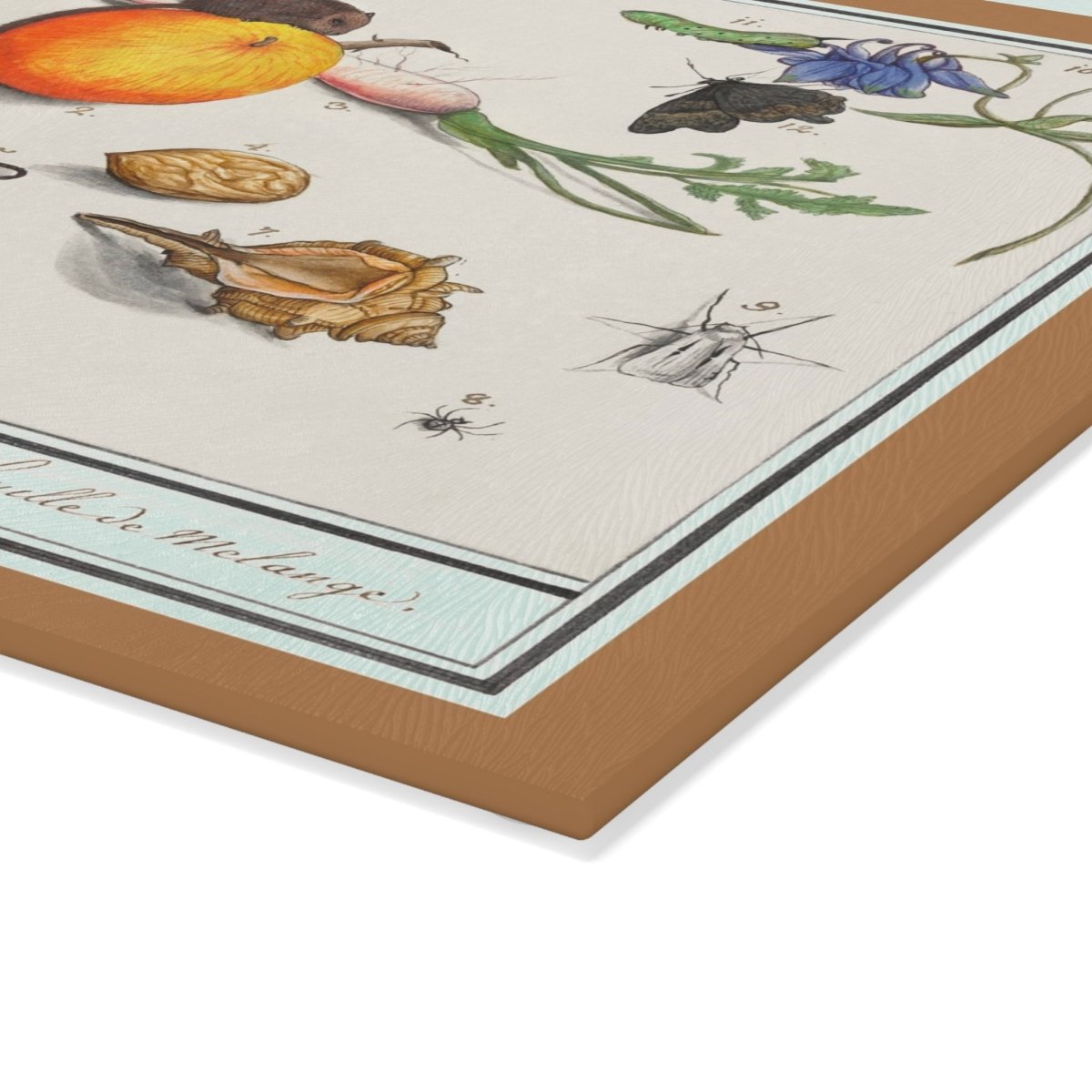 Natural History Ensemble No. 16 | Glass Chopping Board - Glass Chopping Board - Piccolo Fiore Prints