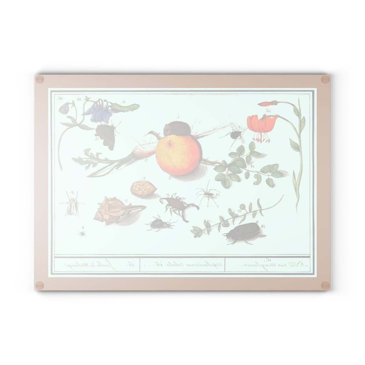 Natural History Ensemble No. 16 | Glass Chopping Board - Glass Chopping Board - Piccolo Fiore Prints
