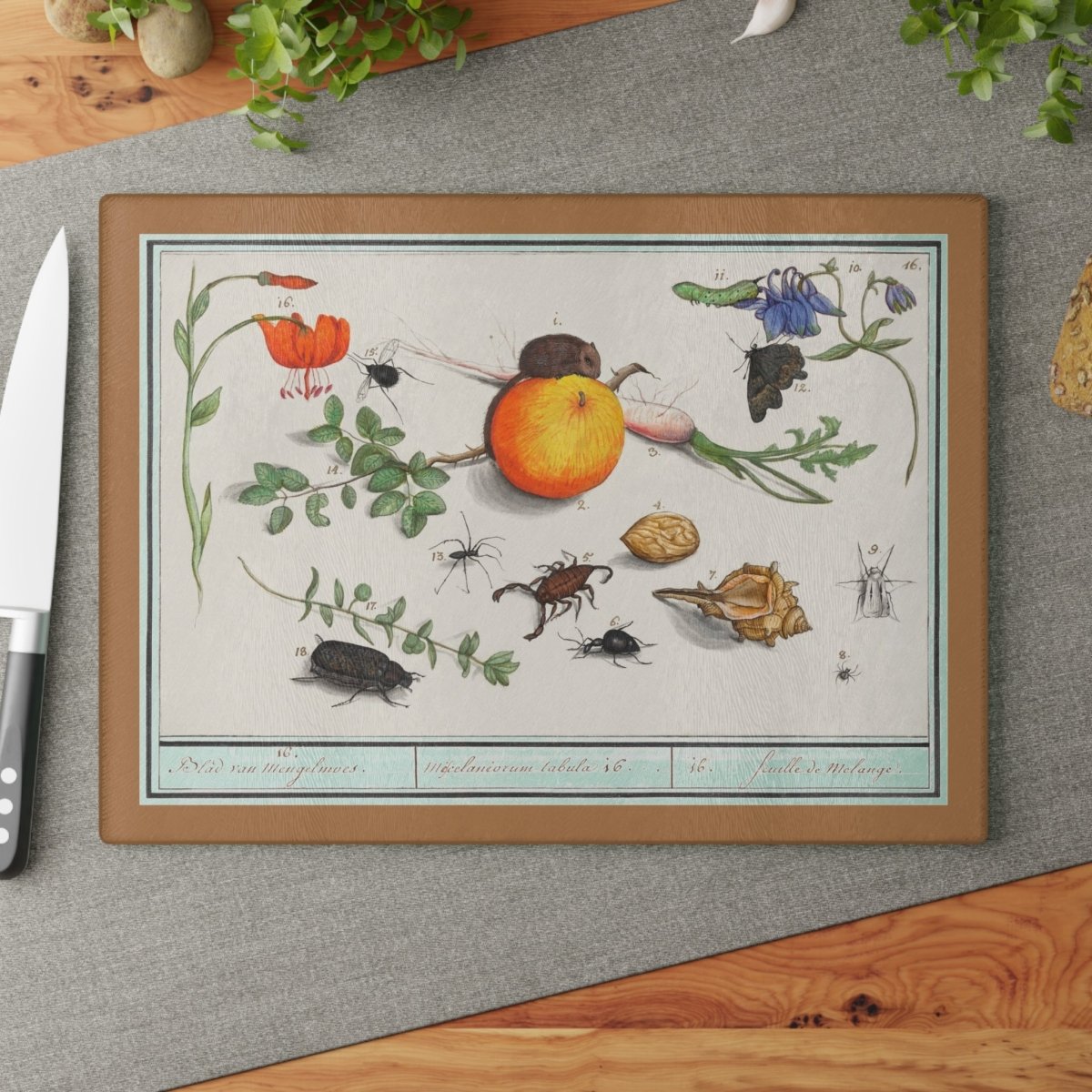 Natural History Ensemble No. 16 | Glass Chopping Board - Glass Chopping Board - Piccolo Fiore Prints