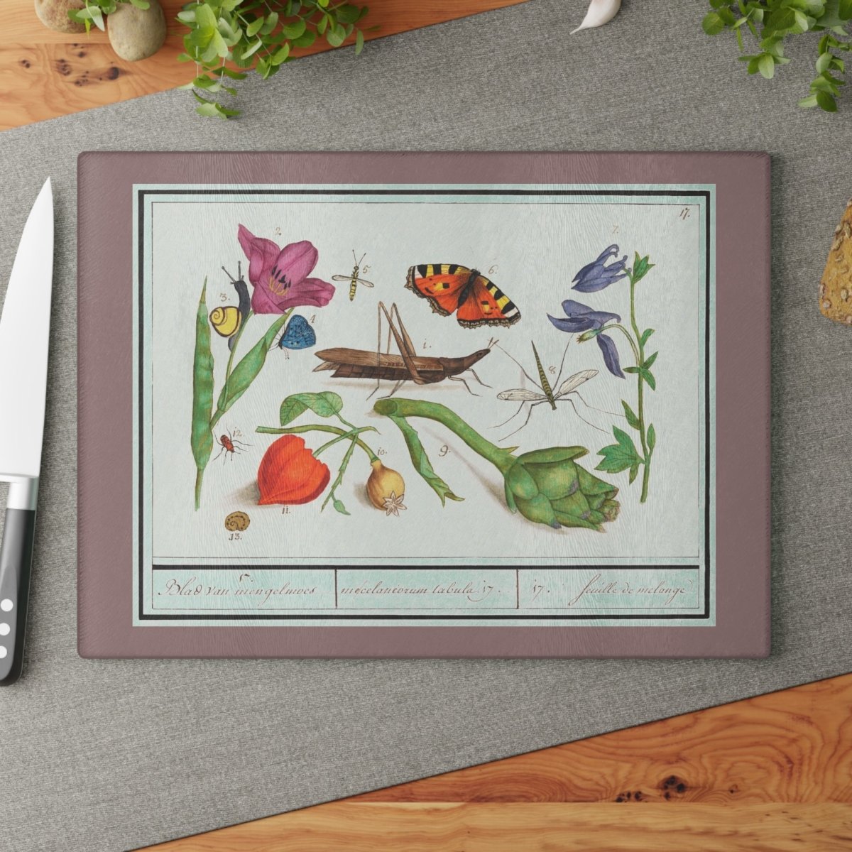 Natural History Ensemble No. 17 | Glass Chopping Board - Glass Chopping Board - Piccolo Fiore Prints