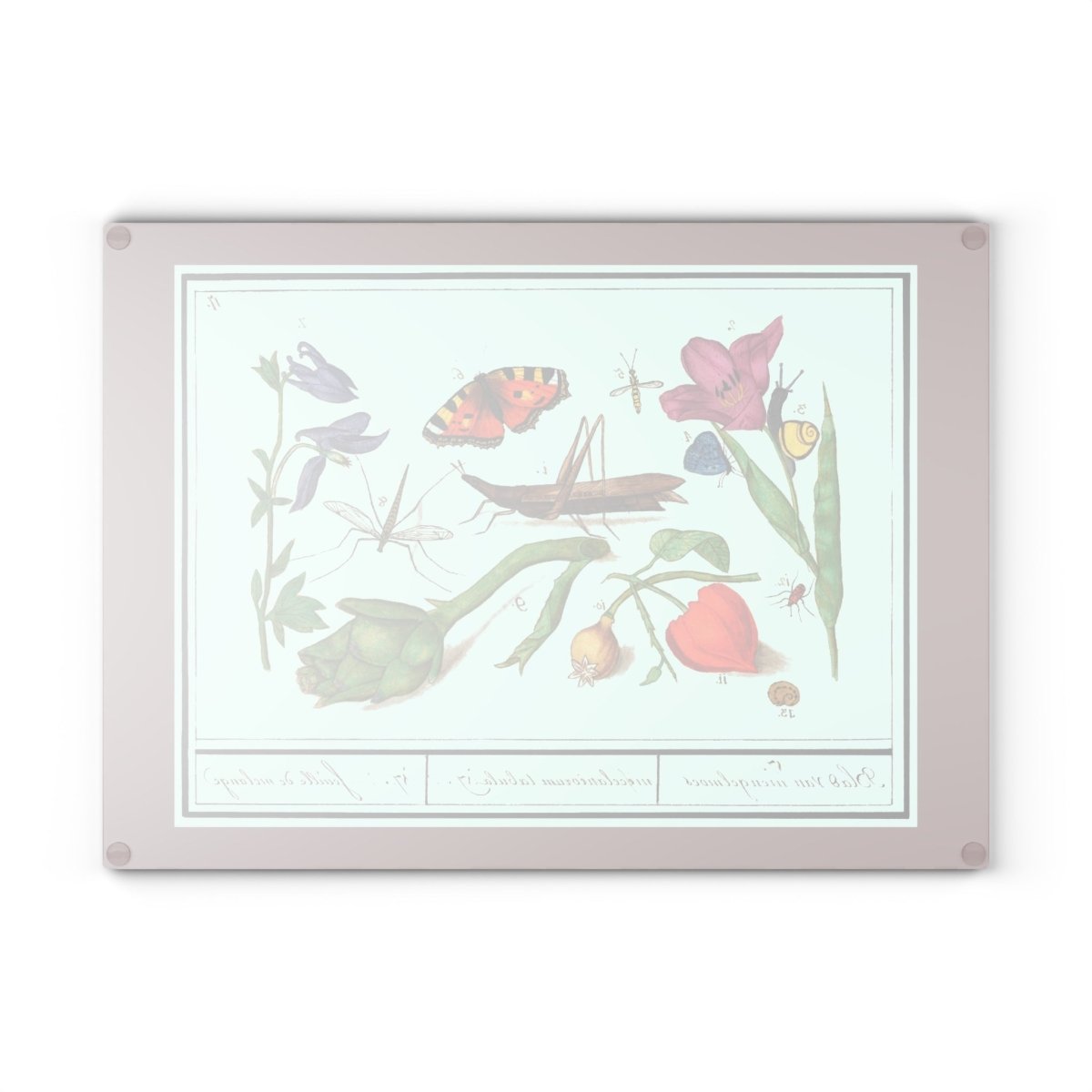 Natural History Ensemble No. 17 | Glass Chopping Board - Glass Chopping Board - Piccolo Fiore Prints
