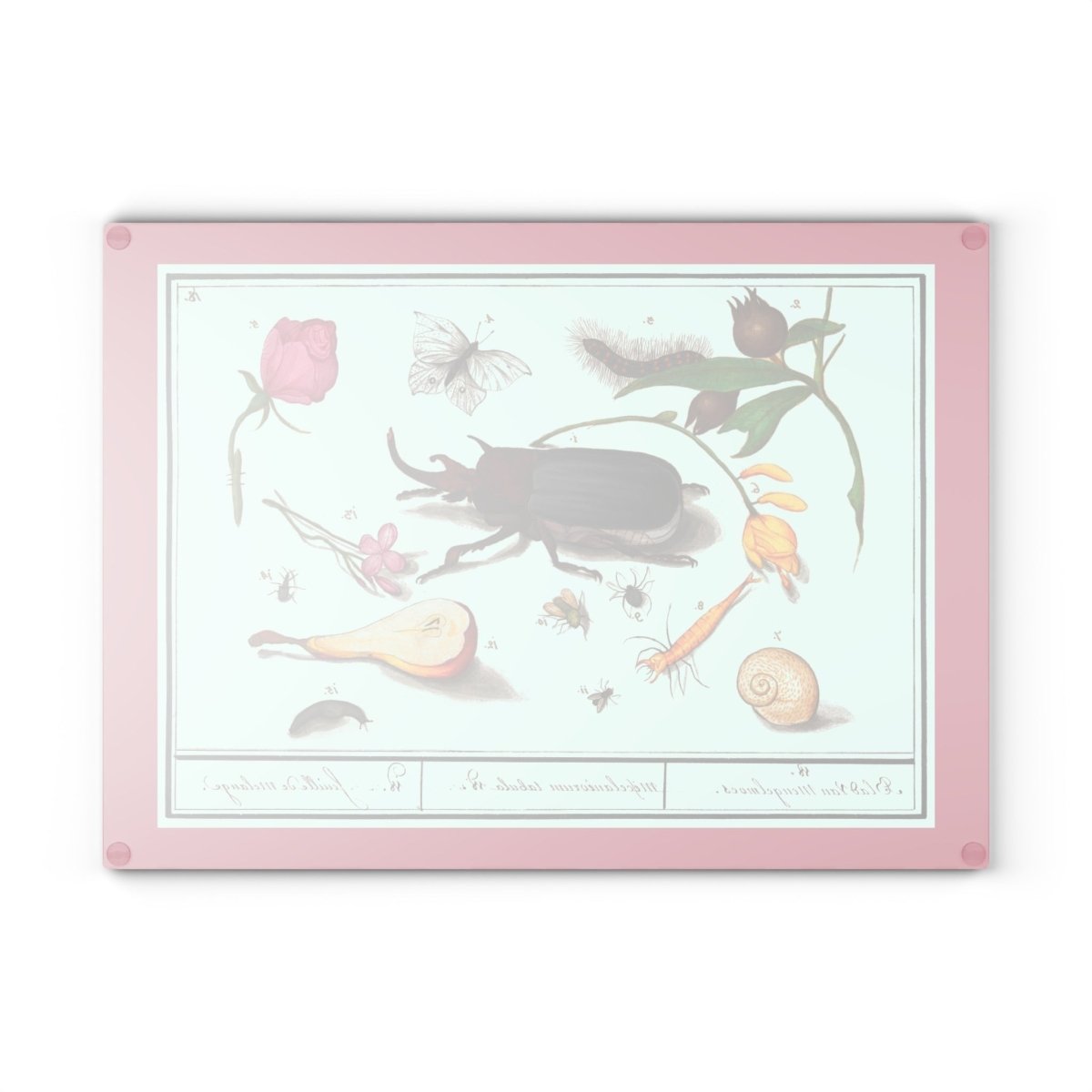 Natural History Ensemble No. 18 | Glass Chopping Board - Glass Chopping Board - Piccolo Fiore Prints