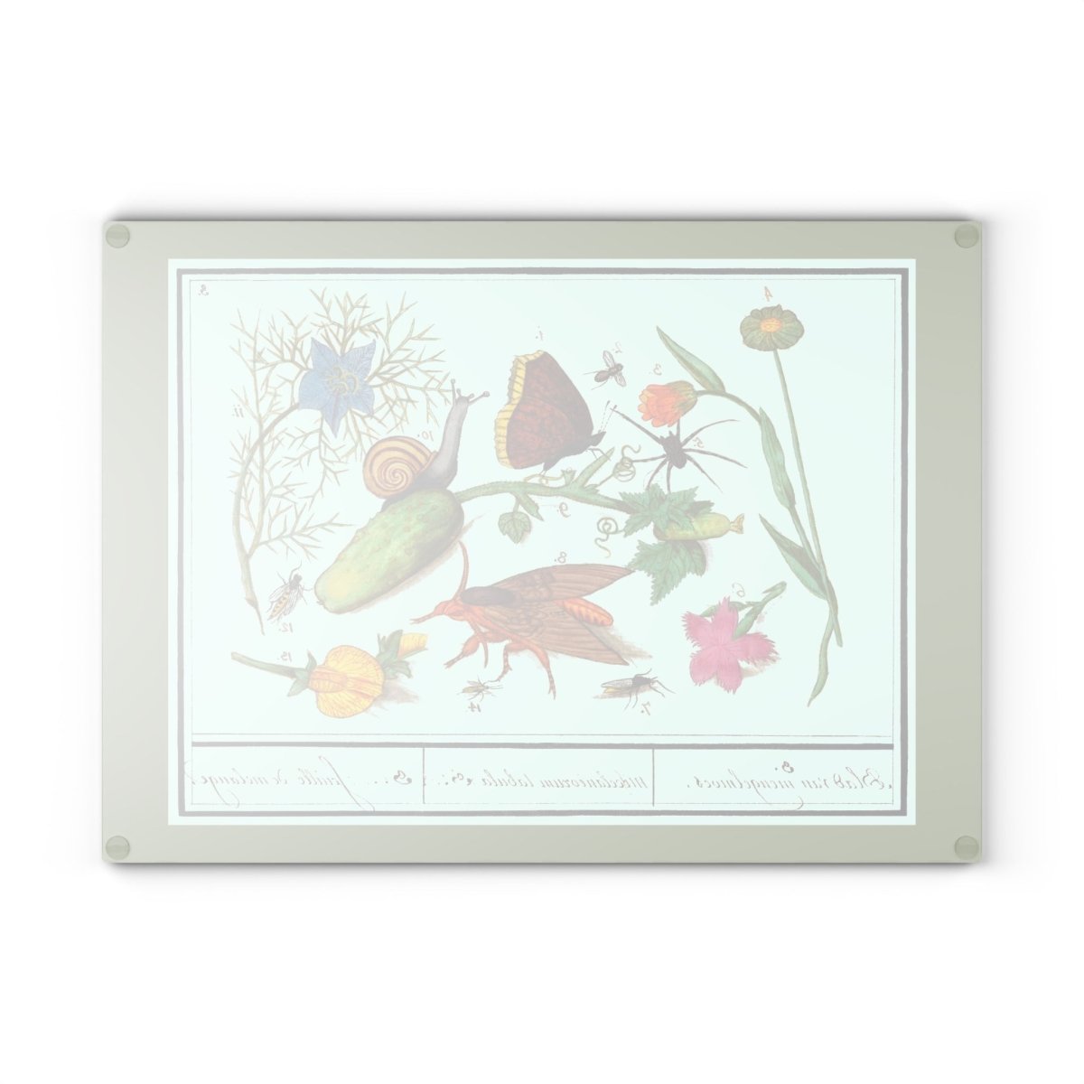 Natural History Ensemble No. 3 | Glass Chopping Board - Glass Chopping Board - Piccolo Fiore Prints