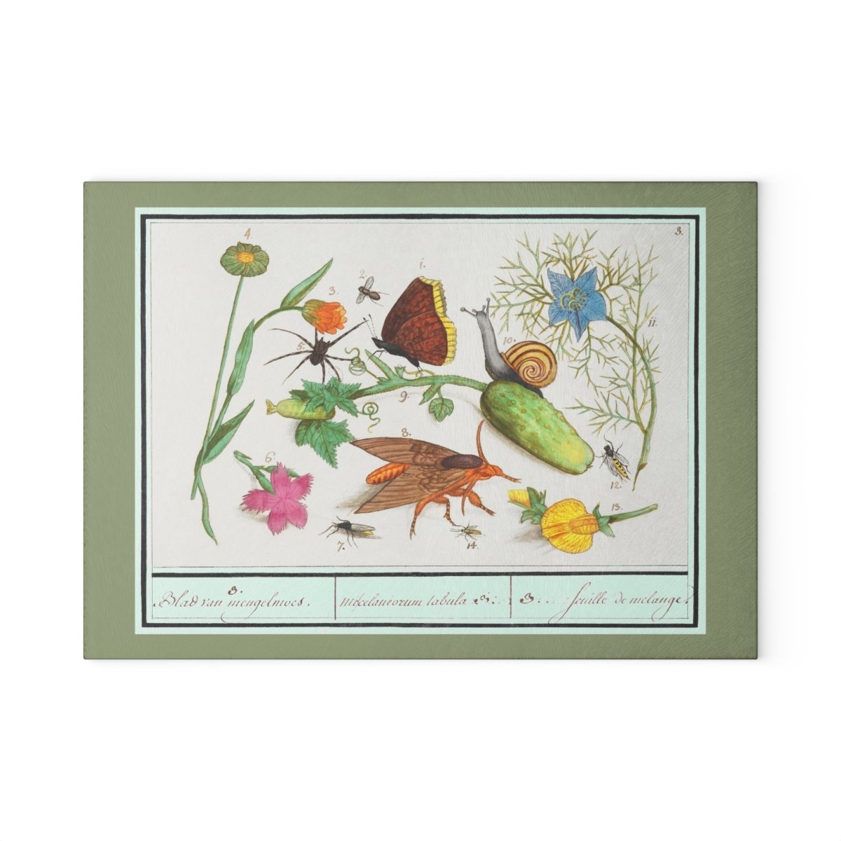 Natural History Ensemble No. 3 | Glass Chopping Board - Glass Chopping Board - Piccolo Fiore Prints
