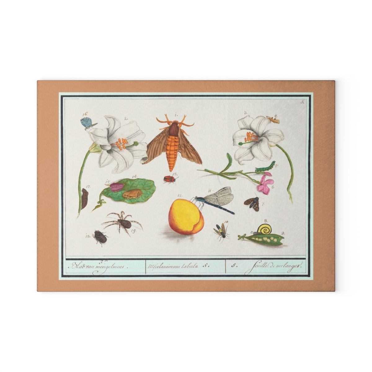 Natural History Ensemble No. 5 | Glass Chopping Board - Glass Chopping Board - Piccolo Fiore Prints
