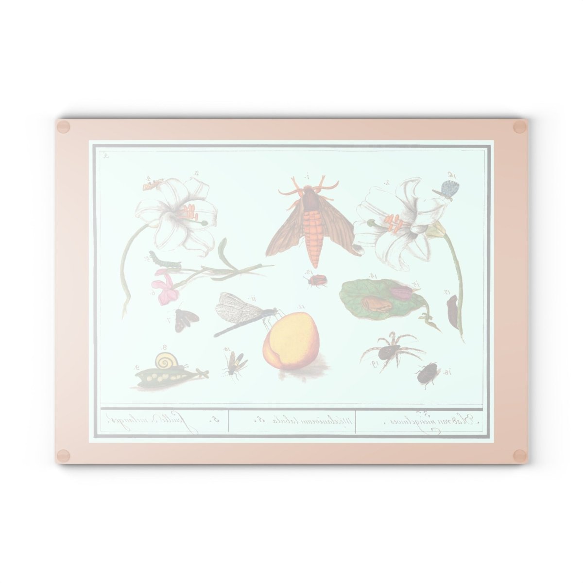 Natural History Ensemble No. 5 | Glass Chopping Board - Glass Chopping Board - Piccolo Fiore Prints