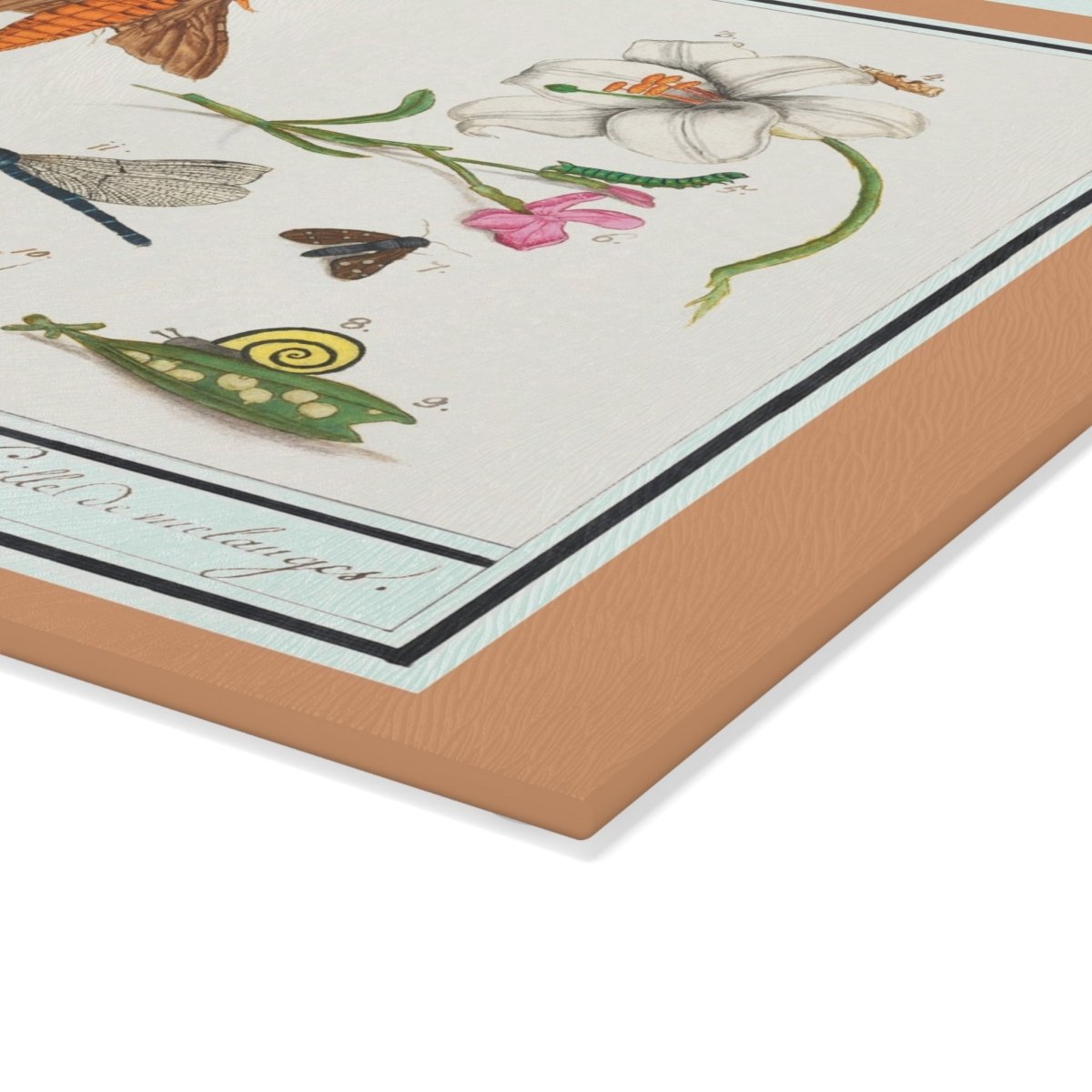 Natural History Ensemble No. 5 | Glass Chopping Board - Glass Chopping Board - Piccolo Fiore Prints