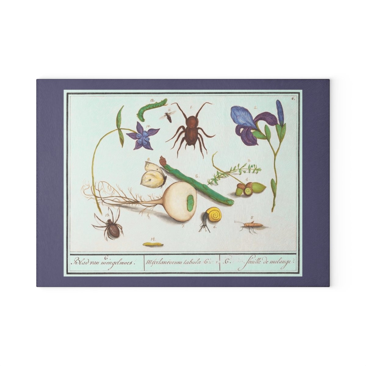 Natural History Ensemble No. 6 | Glass Chopping Board - Glass Chopping Board - Piccolo Fiore Prints