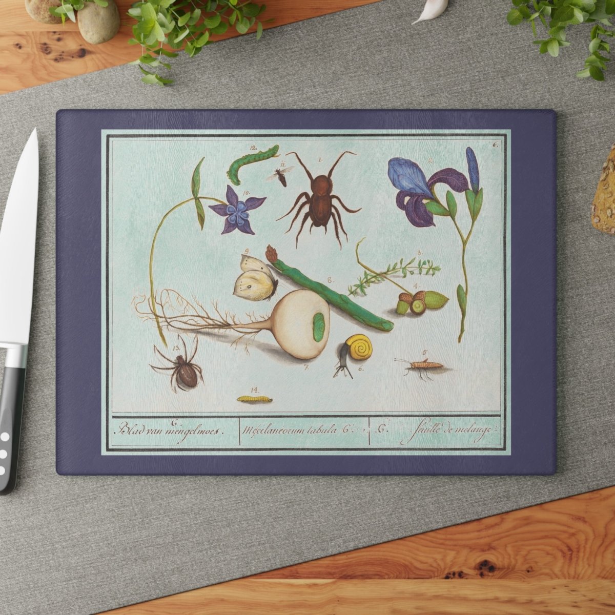 Natural History Ensemble No. 6 | Glass Chopping Board - Glass Chopping Board - Piccolo Fiore Prints