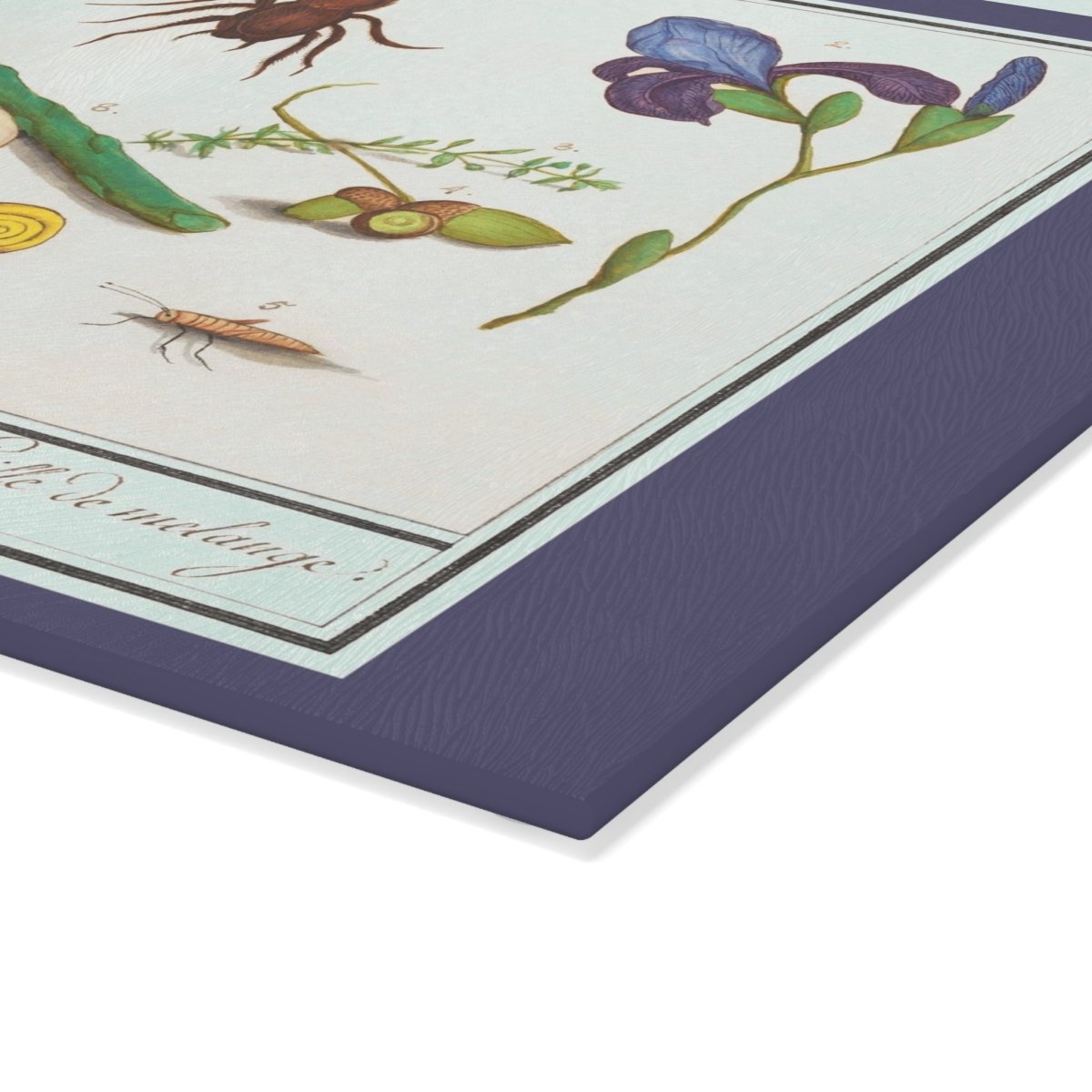 Natural History Ensemble No. 6 | Glass Chopping Board - Glass Chopping Board - Piccolo Fiore Prints