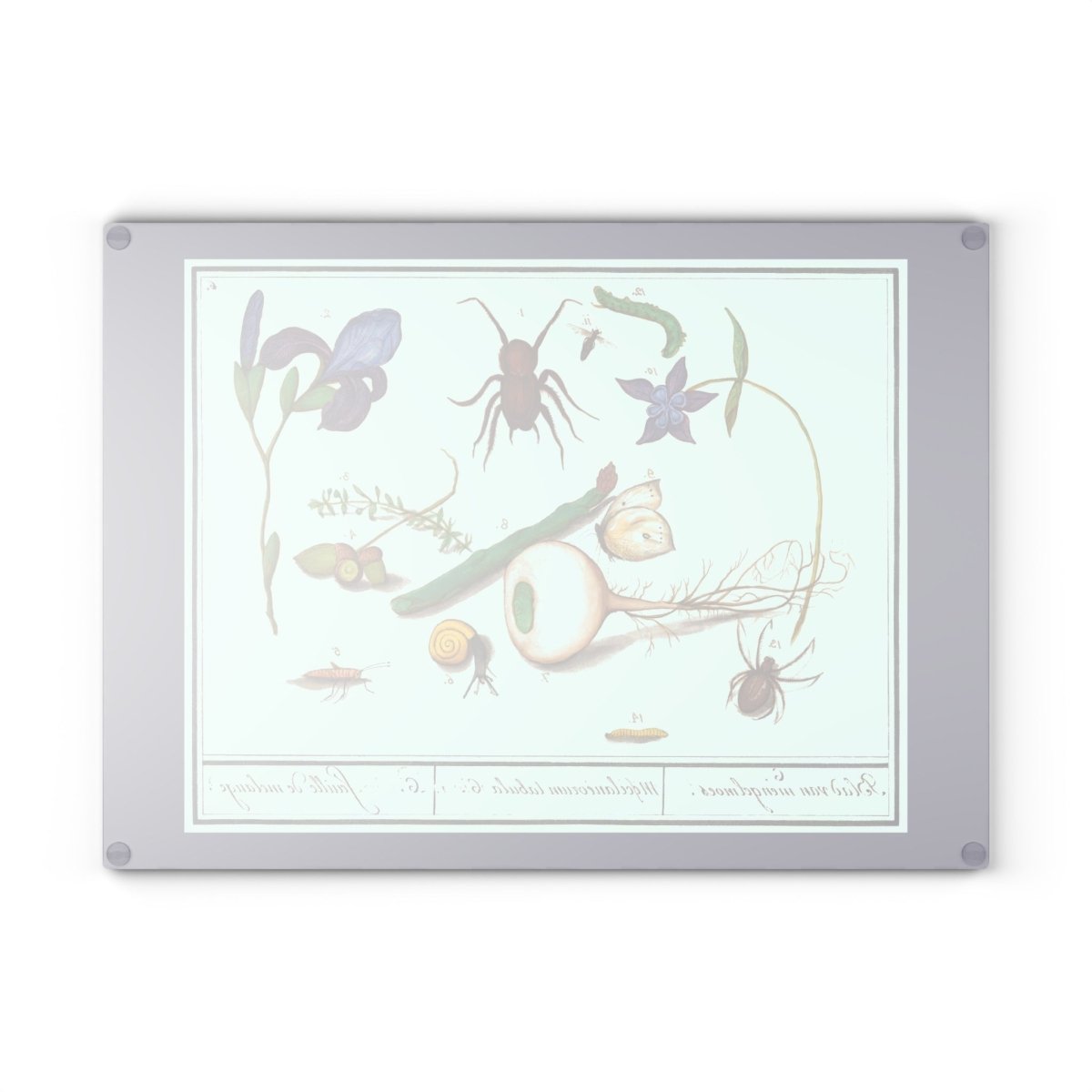 Natural History Ensemble No. 6 | Glass Chopping Board - Glass Chopping Board - Piccolo Fiore Prints