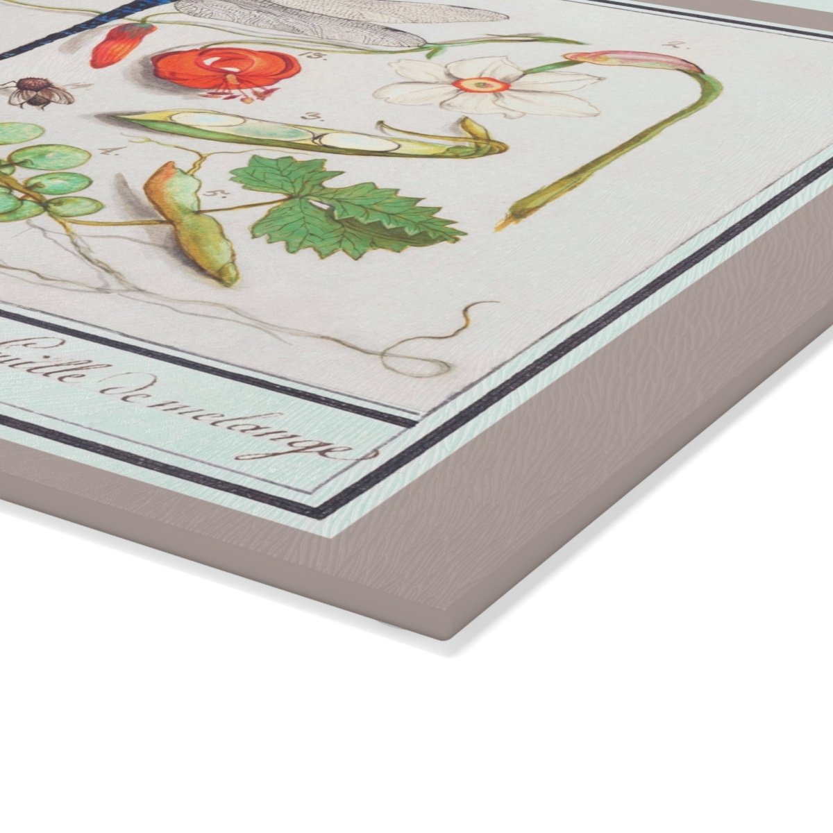 Natural History Ensemble No. 7 | Glass Chopping Board - Glass Chopping Board - Piccolo Fiore Prints