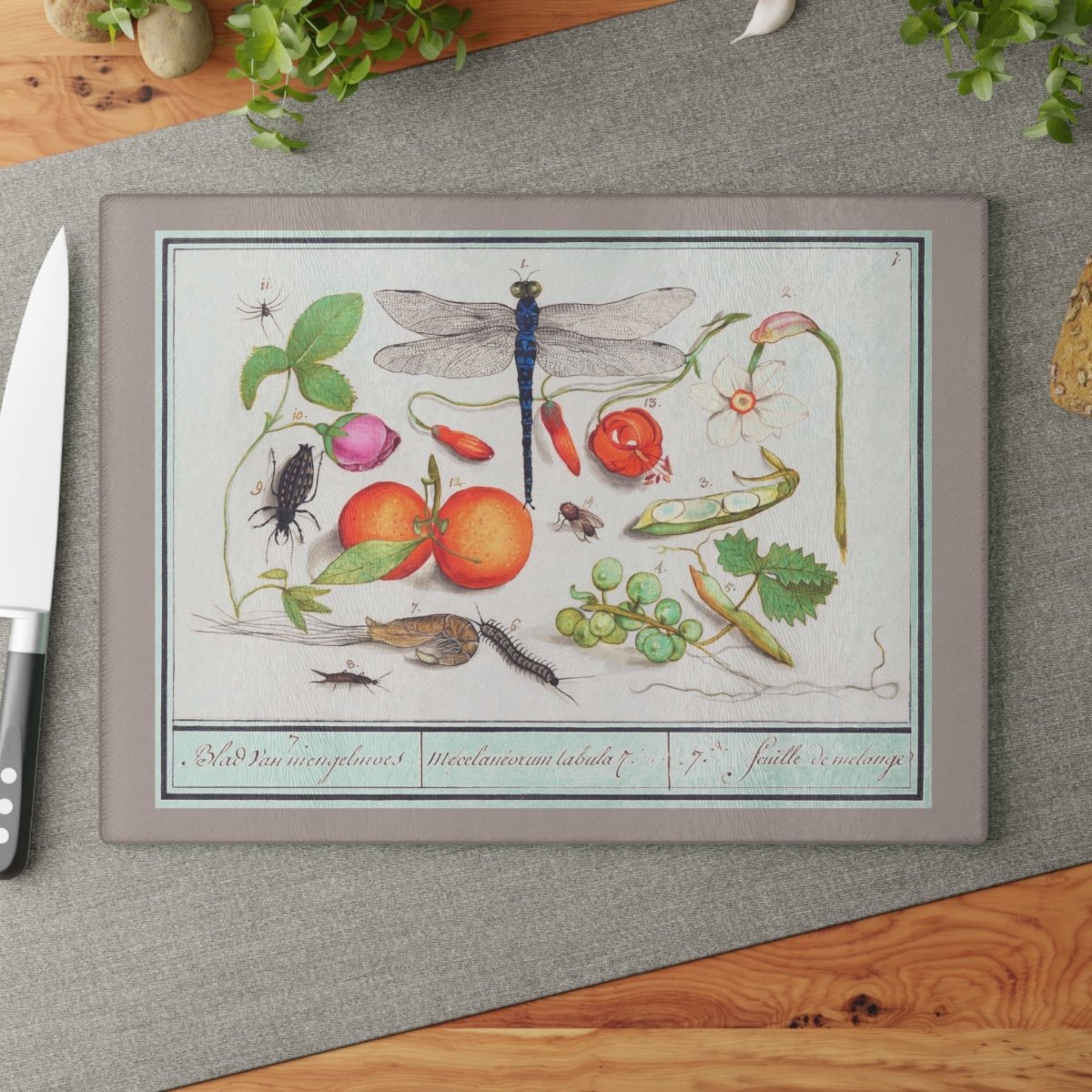 Natural History Ensemble No. 7 | Glass Chopping Board - Glass Chopping Board - Piccolo Fiore Prints