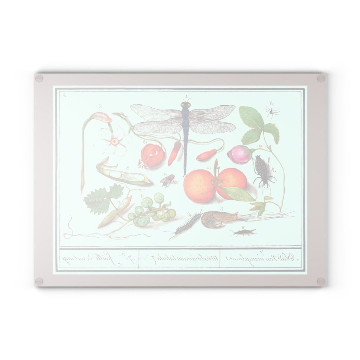 Natural History Ensemble No. 7 | Glass Chopping Board - Glass Chopping Board - Piccolo Fiore Prints