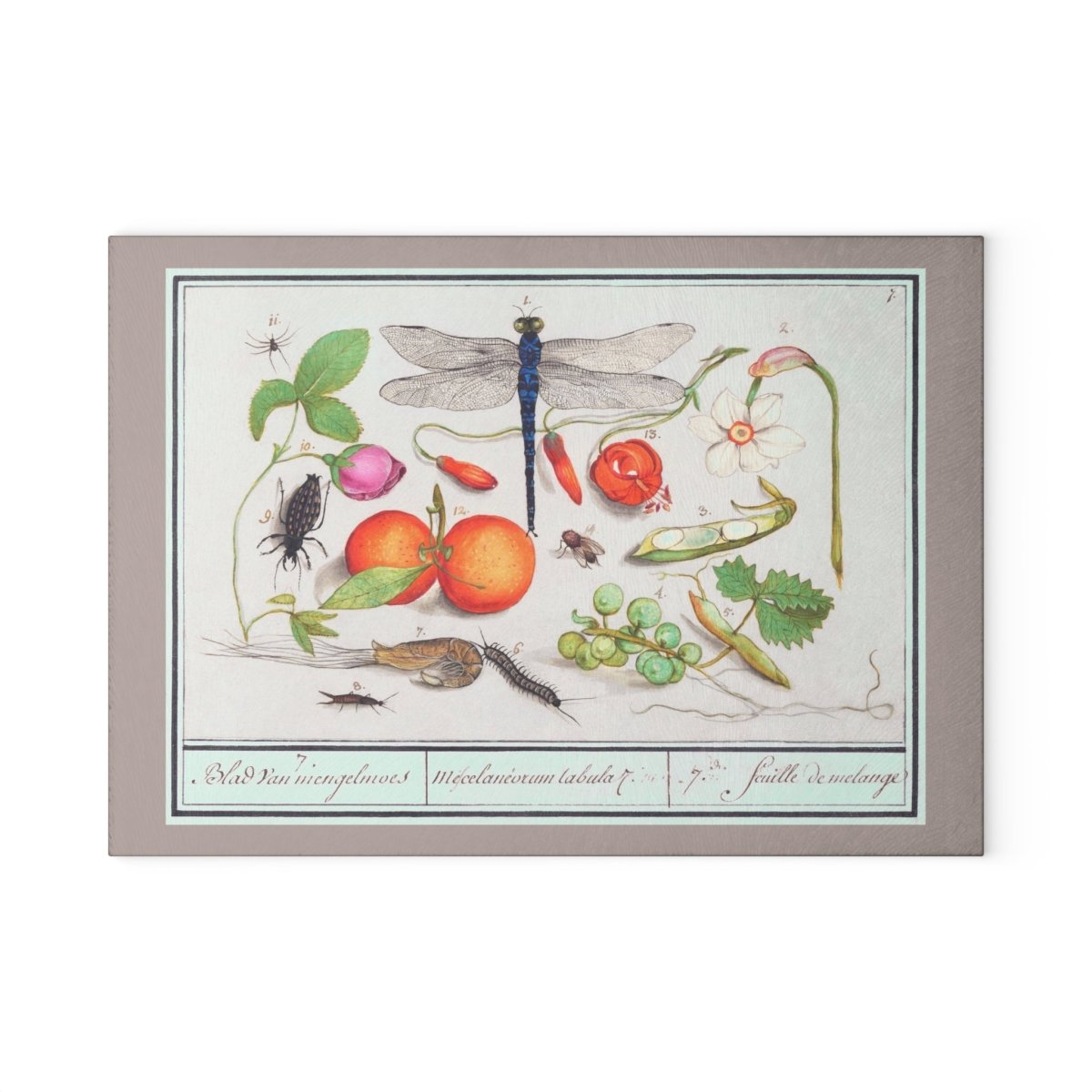Natural History Ensemble No. 7 | Glass Chopping Board - Glass Chopping Board - Piccolo Fiore Prints