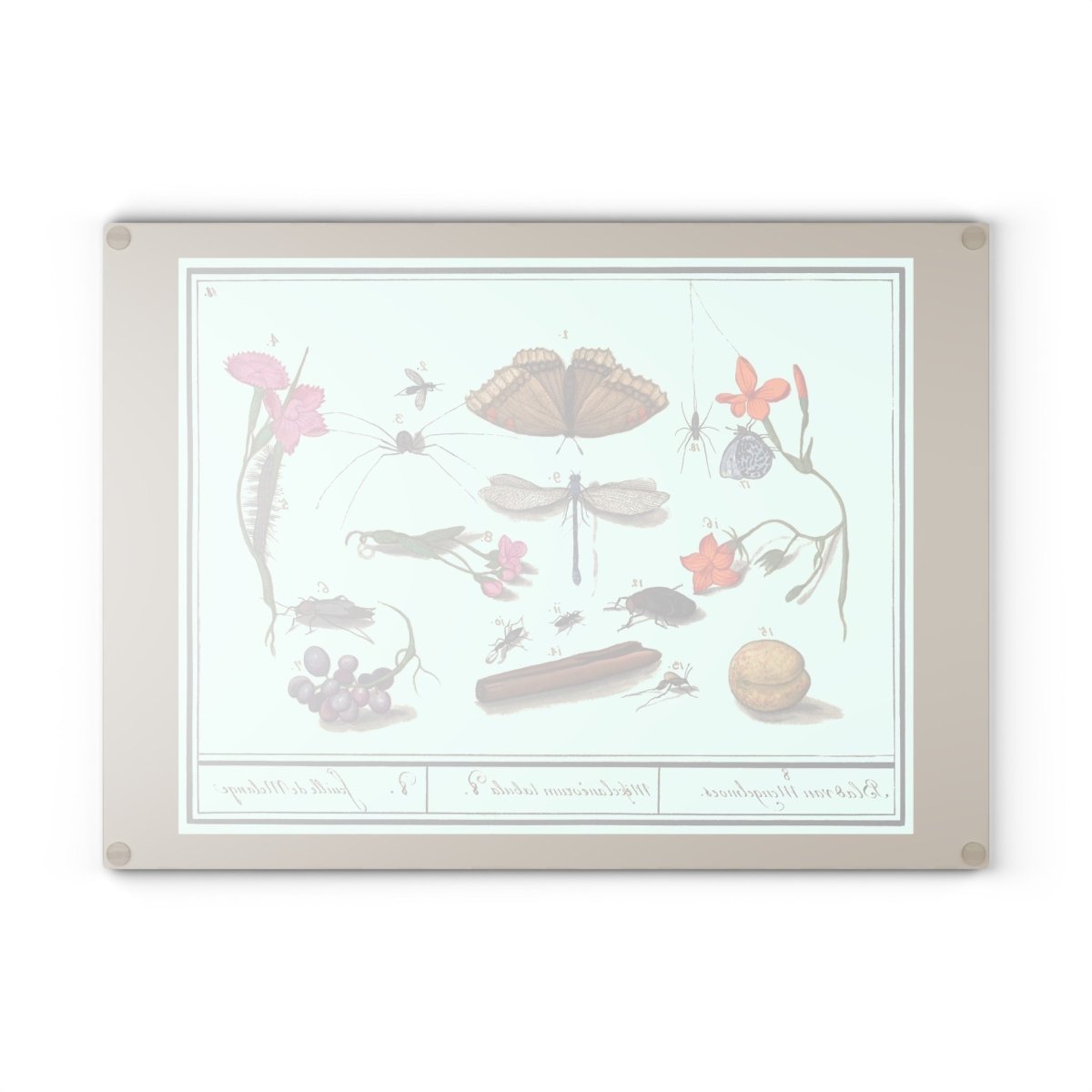 Natural History Ensemble No. 8 | Glass Chopping Board - Glass Chopping Board - Piccolo Fiore Prints