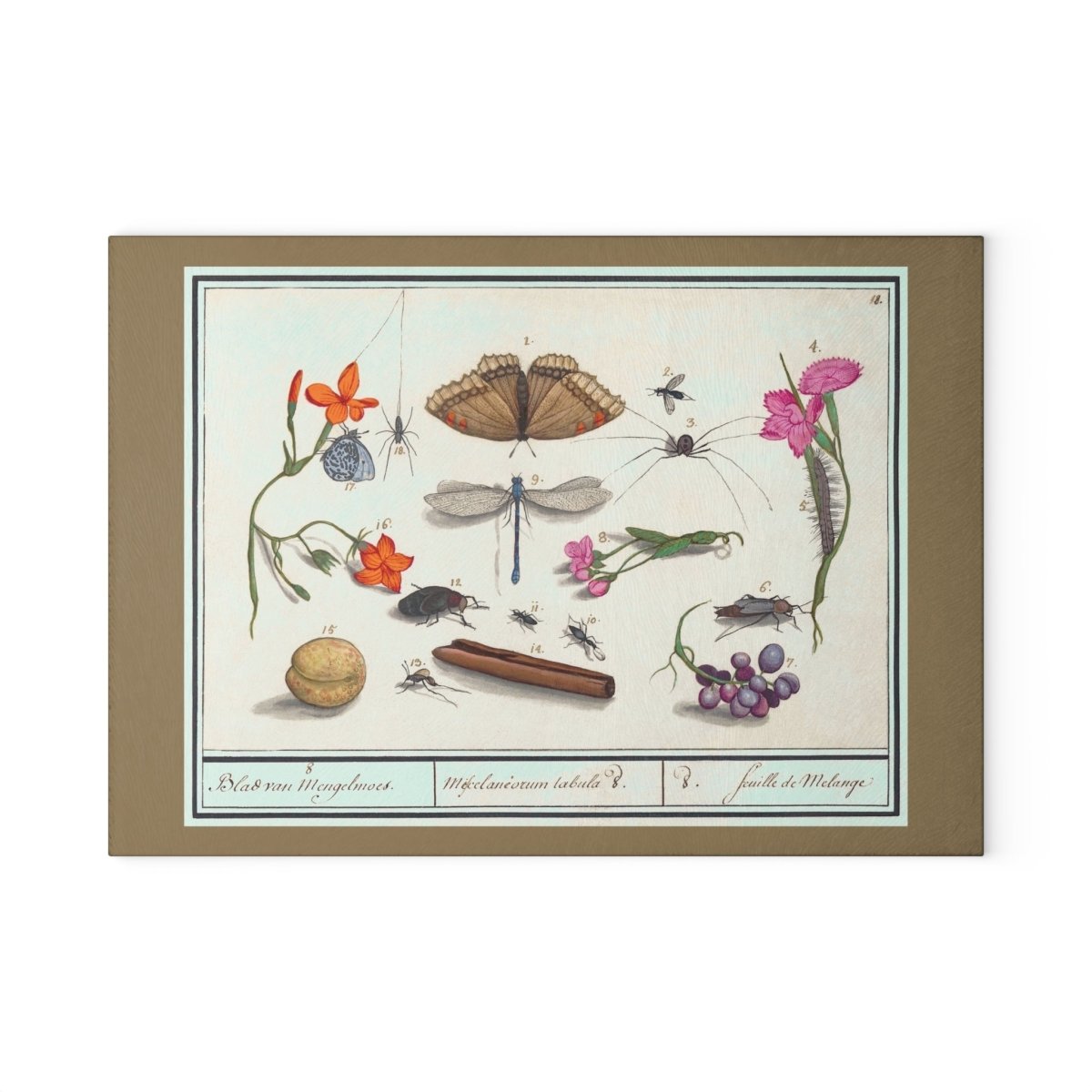 Natural History Ensemble No. 8 | Glass Chopping Board - Glass Chopping Board - Piccolo Fiore Prints