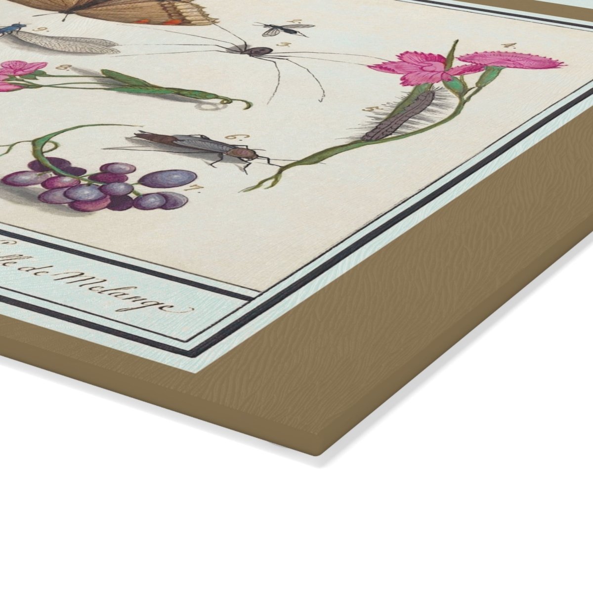 Natural History Ensemble No. 8 | Glass Chopping Board - Glass Chopping Board - Piccolo Fiore Prints