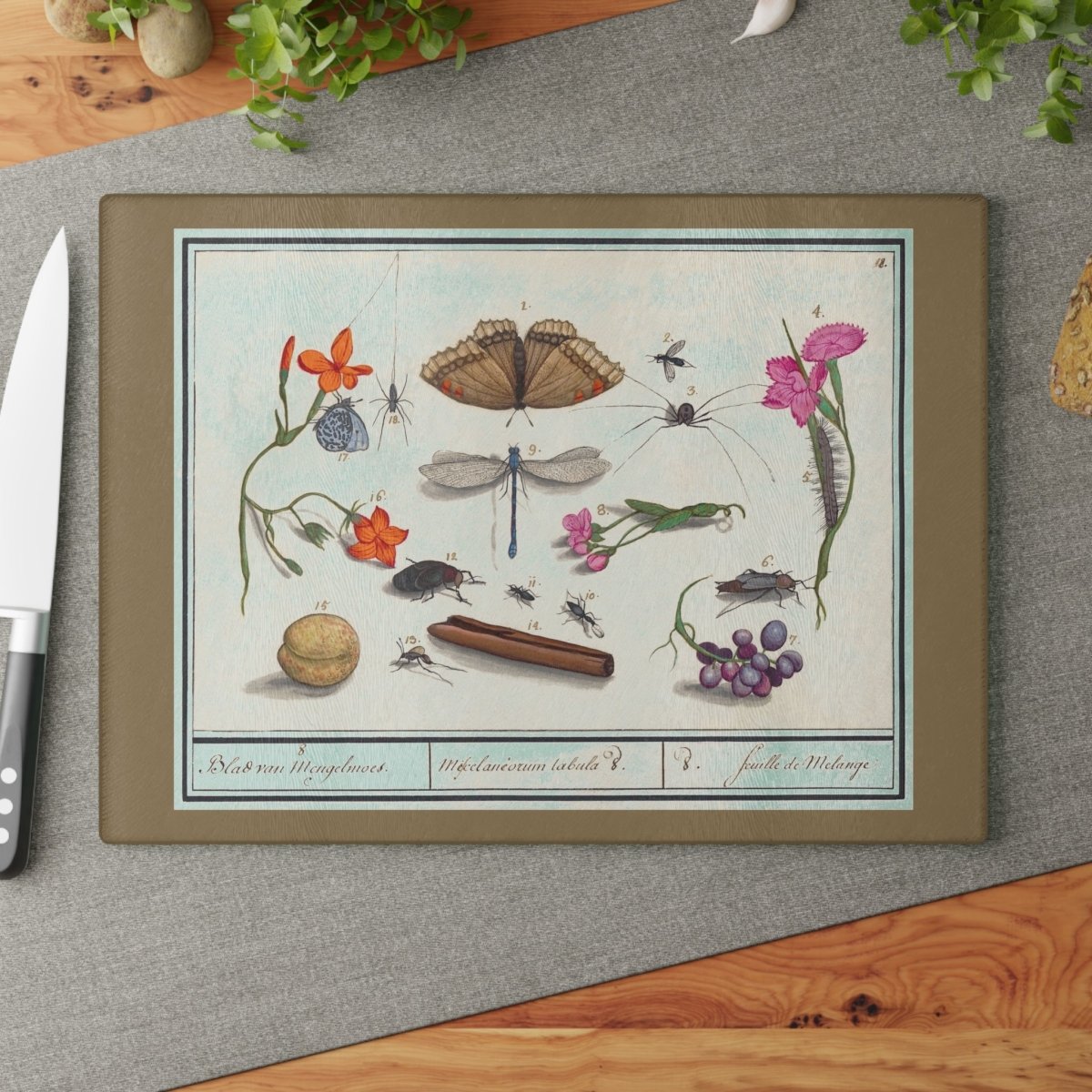 Natural History Ensemble No. 8 | Glass Chopping Board - Glass Chopping Board - Piccolo Fiore Prints