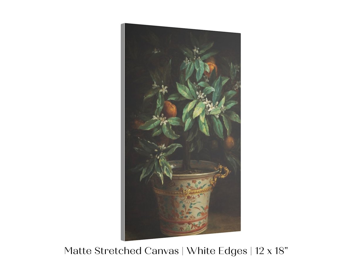 Orange Tree | P438 - Single Art Prints - Piccolo Fiore Prints