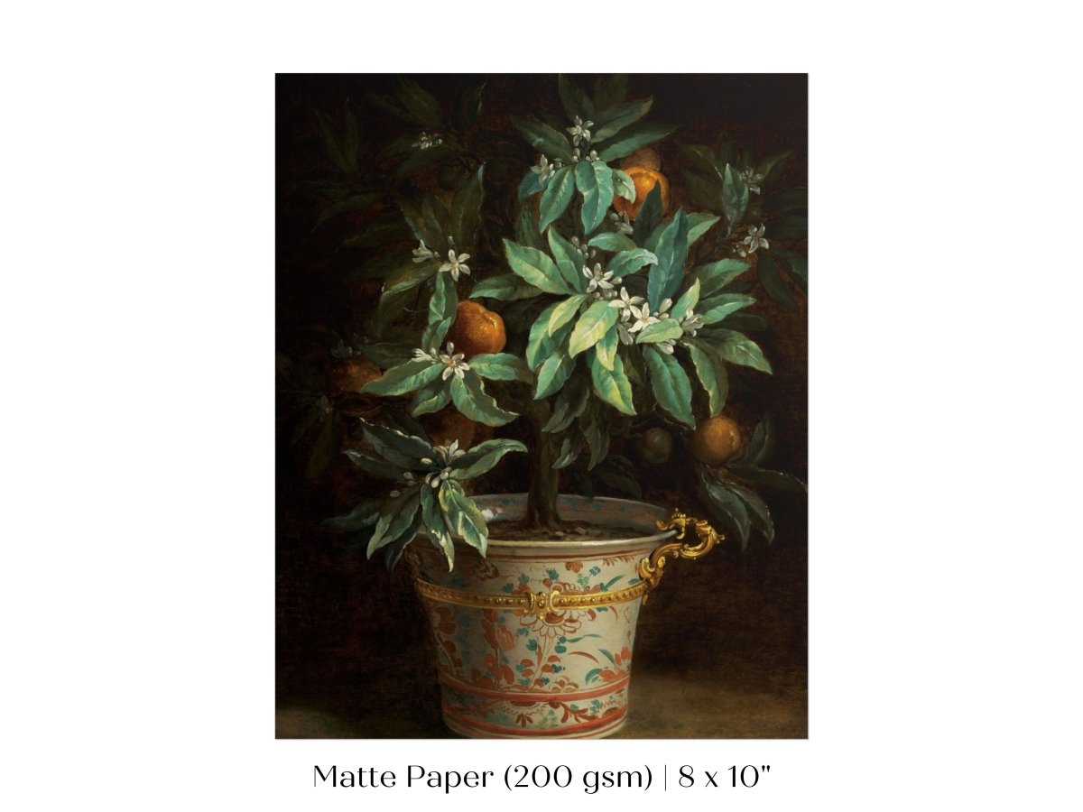 Orange Tree | P438 - Single Art Prints - Piccolo Fiore Prints
