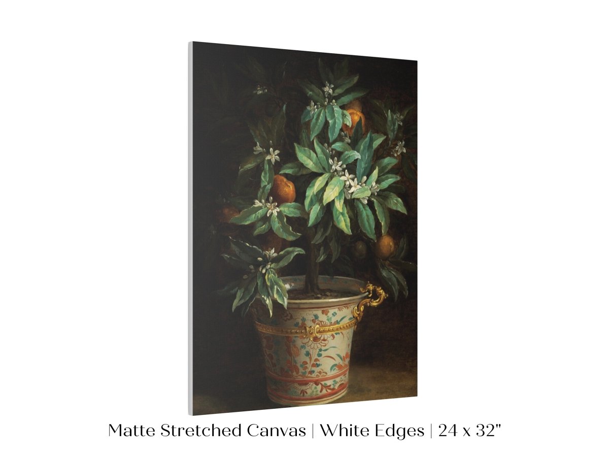 Orange Tree | P438 - Single Art Prints - Piccolo Fiore Prints