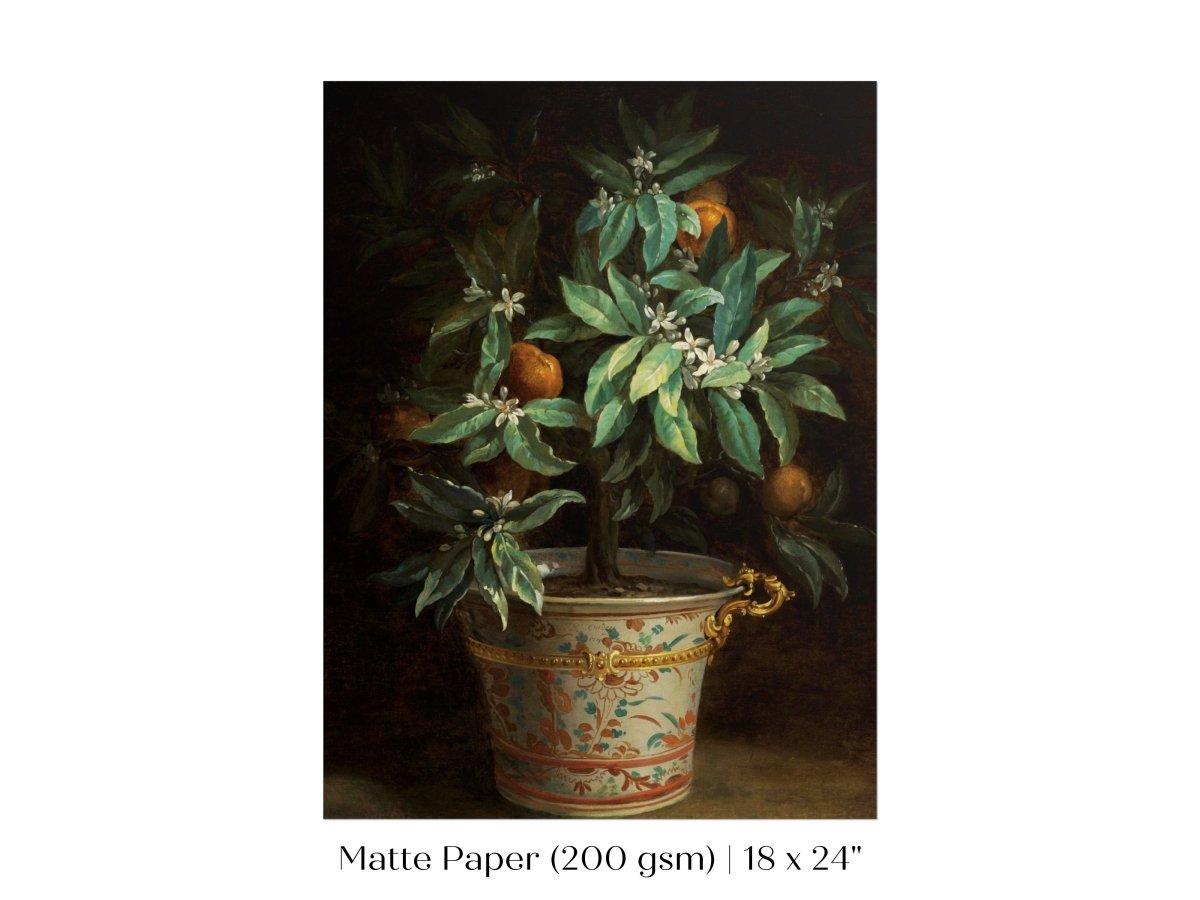 Orange Tree | P438 - Single Art Prints - Piccolo Fiore Prints