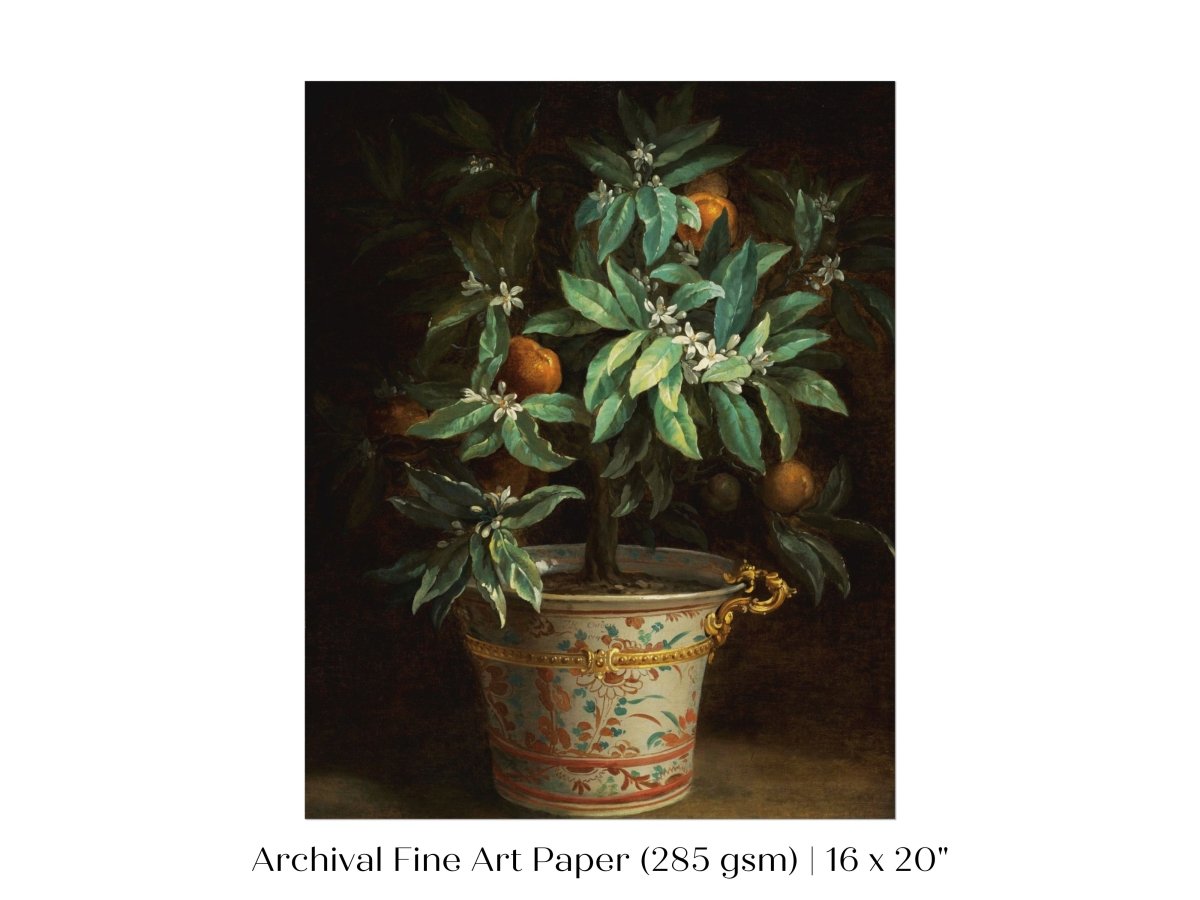 Orange Tree | P438 - Single Art Prints - Piccolo Fiore Prints