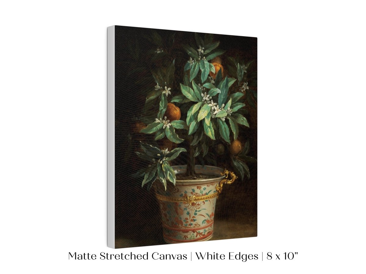 Orange Tree | P438 - Single Art Prints - Piccolo Fiore Prints
