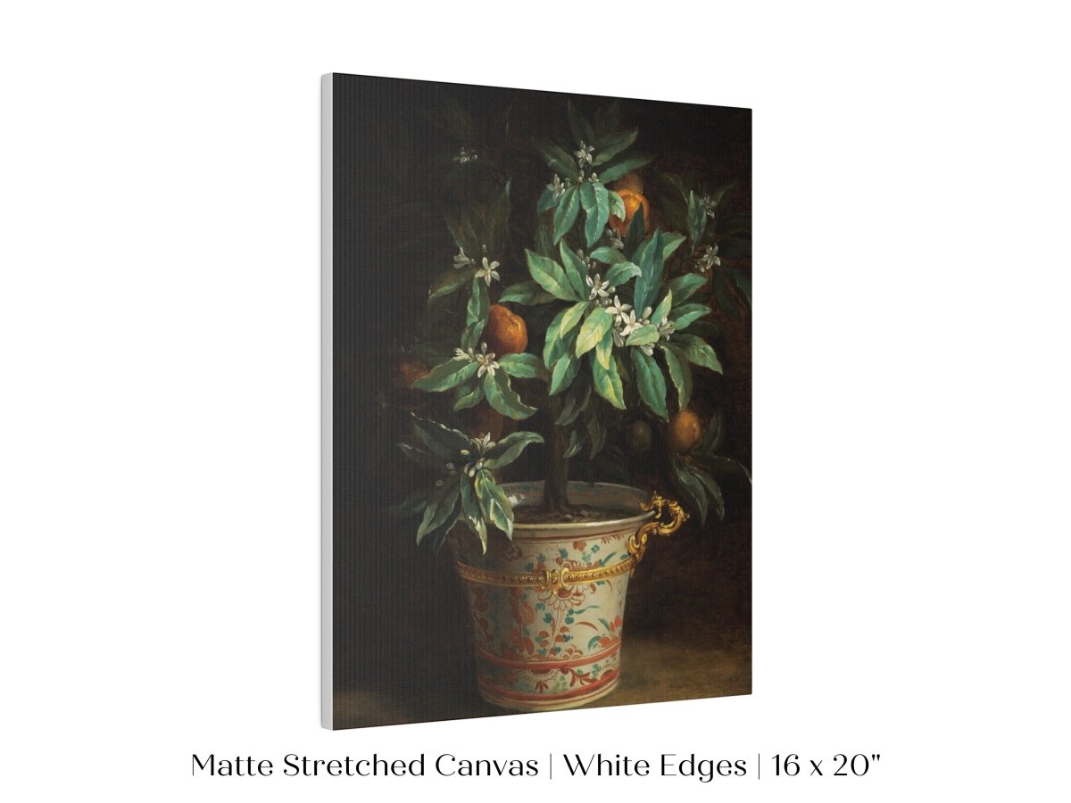 Orange Tree | P438 - Single Art Prints - Piccolo Fiore Prints