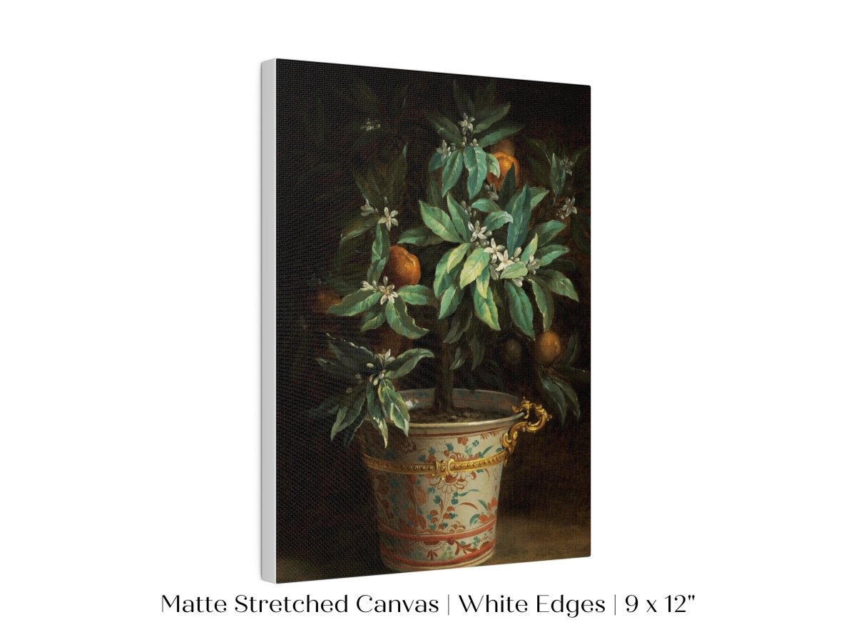 Orange Tree | P438 - Single Art Prints - Piccolo Fiore Prints