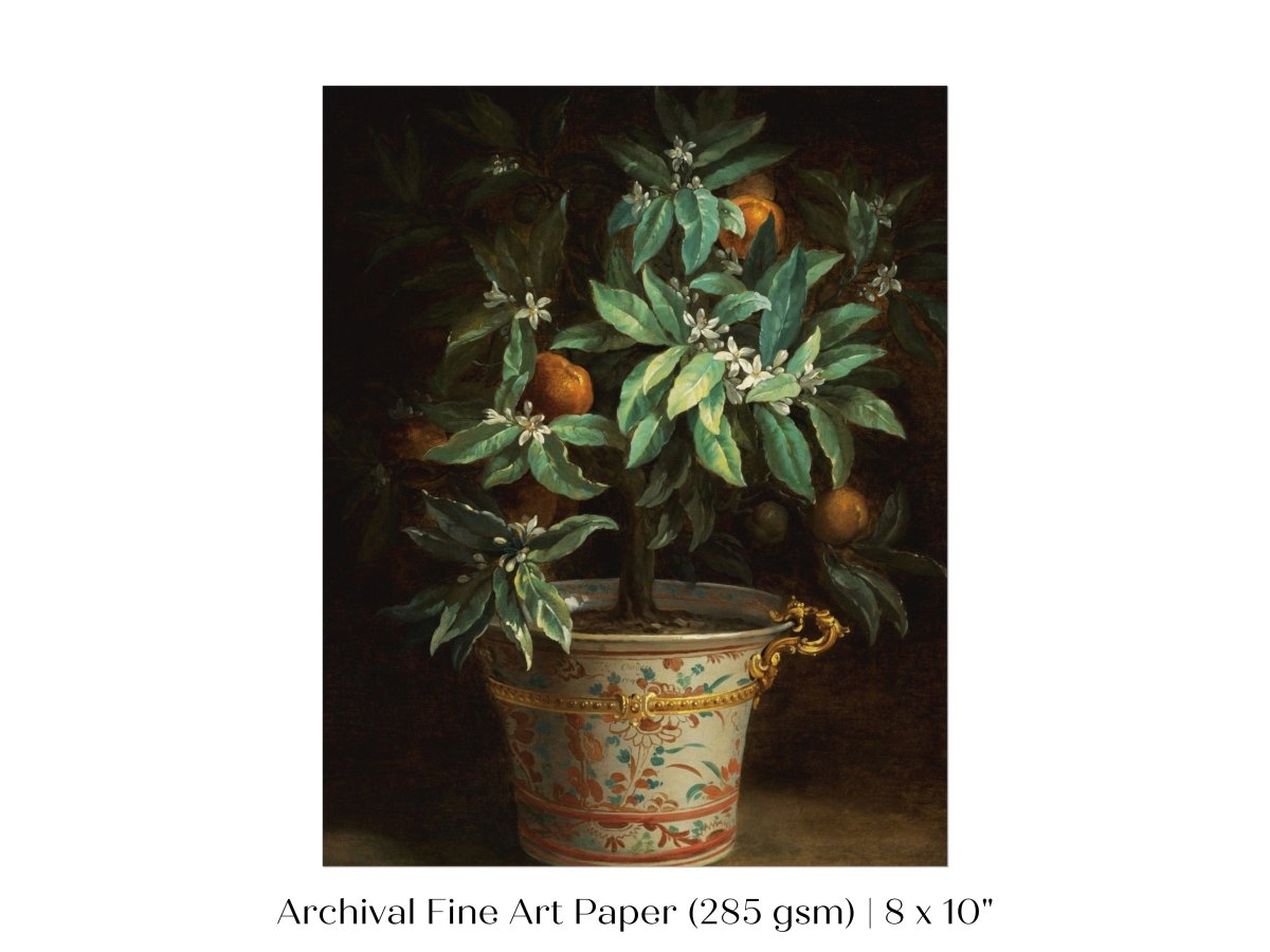 Orange Tree | P438 - Single Art Prints - Piccolo Fiore Prints
