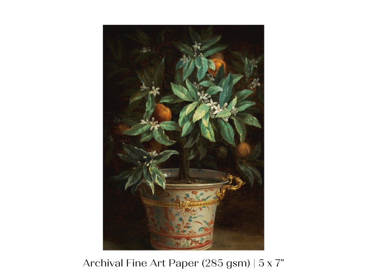 Orange Tree | P438 - Single Art Prints - Piccolo Fiore Prints