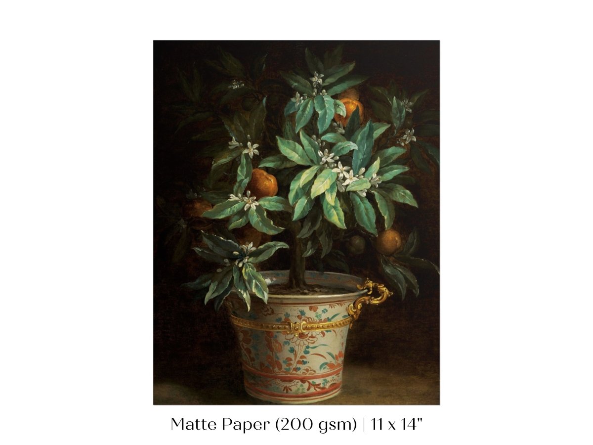 Orange Tree | P438 - Single Art Prints - Piccolo Fiore Prints