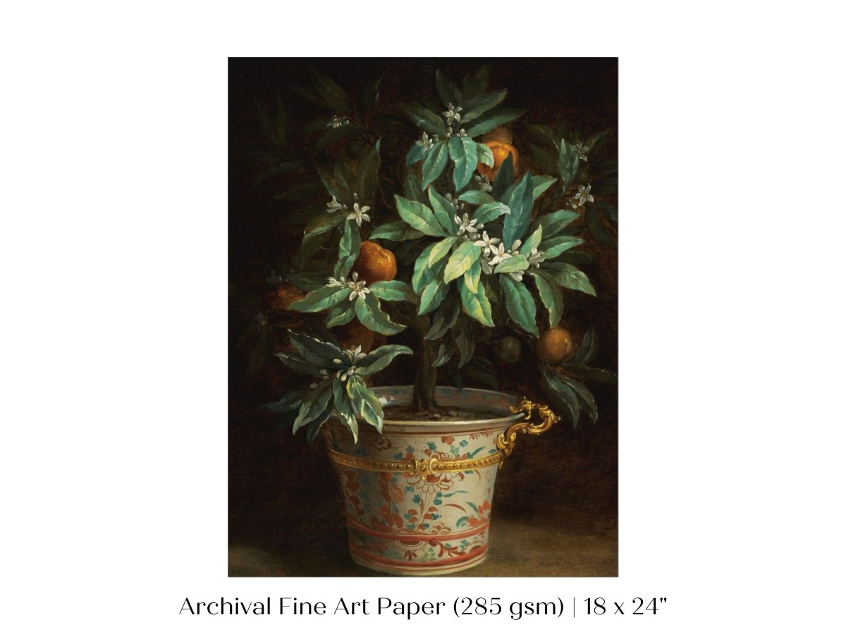 Orange Tree | P438 - Single Art Prints - Piccolo Fiore Prints