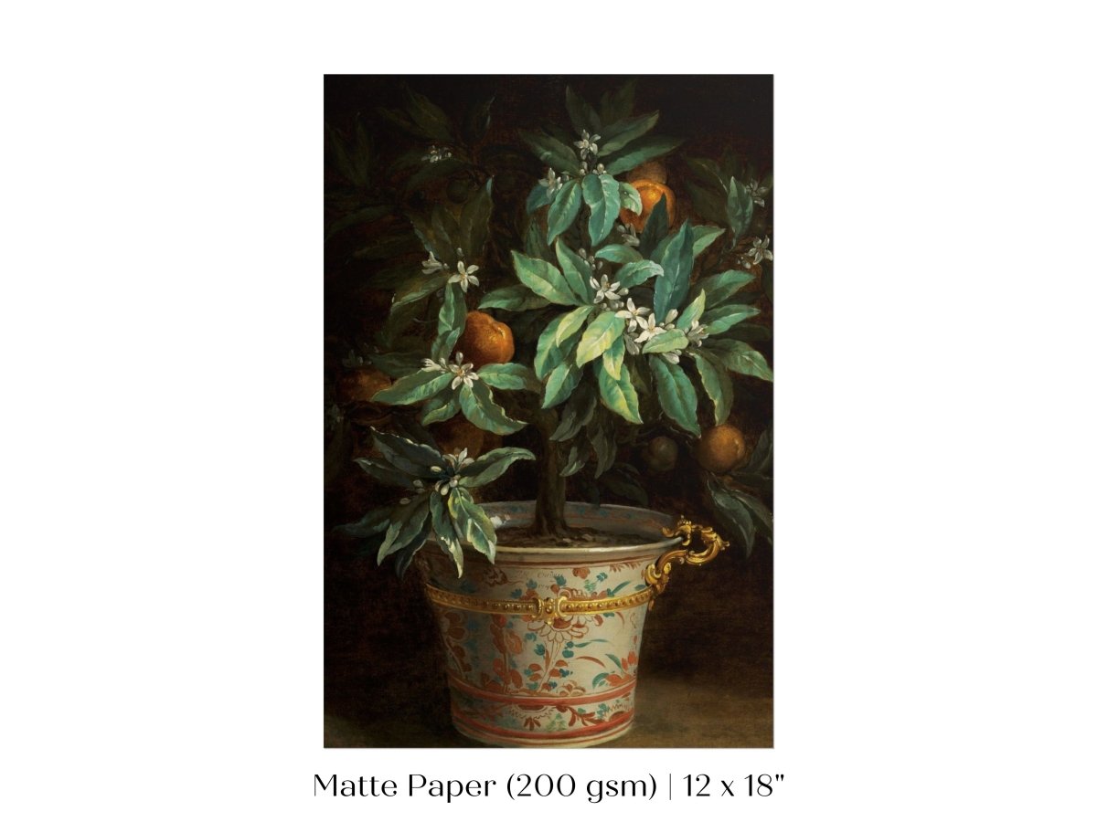 Orange Tree | P438 - Single Art Prints - Piccolo Fiore Prints