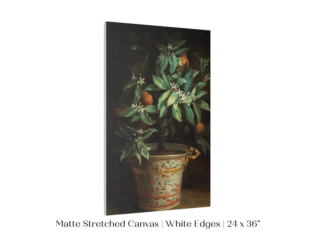 Orange Tree | P438 - Single Art Prints - Piccolo Fiore Prints