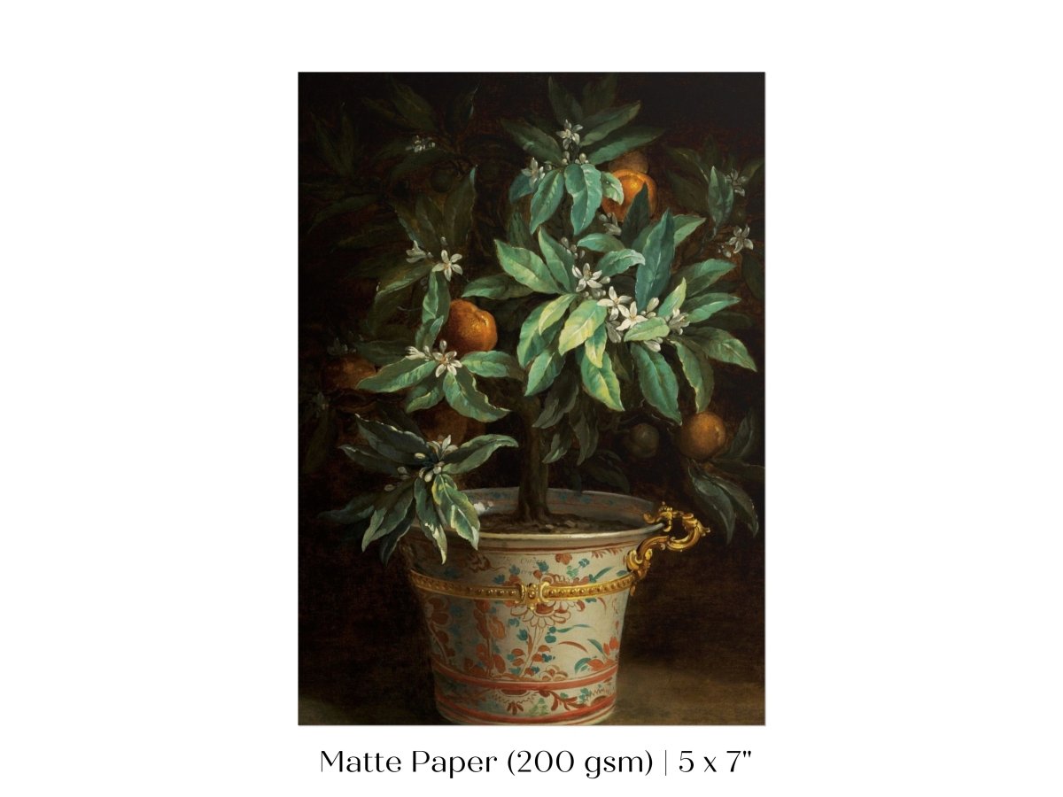 Orange Tree | P438 - Single Art Prints - Piccolo Fiore Prints