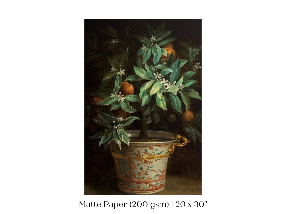 Orange Tree | P438 - Single Art Prints - Piccolo Fiore Prints